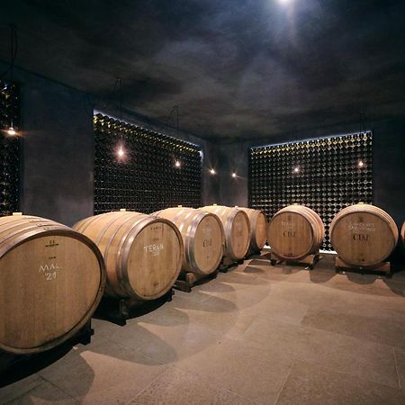 Winery Cuj Bed & Breakfast Vilanija Екстериор снимка